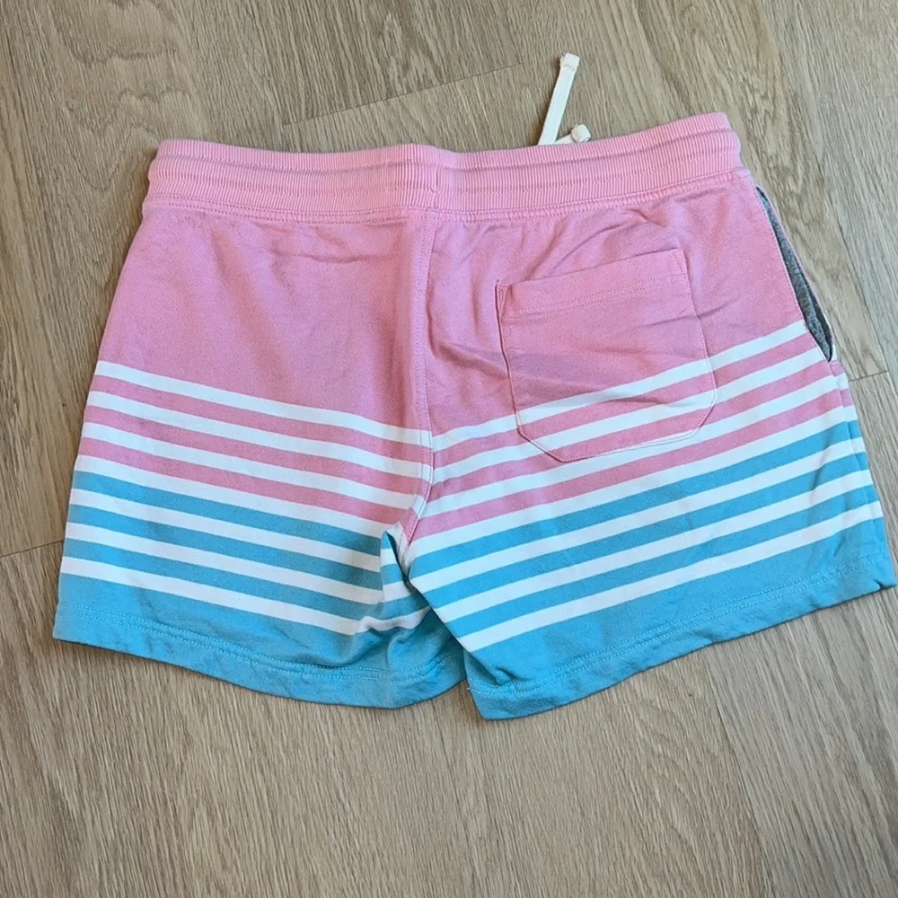chubbies casual shorts